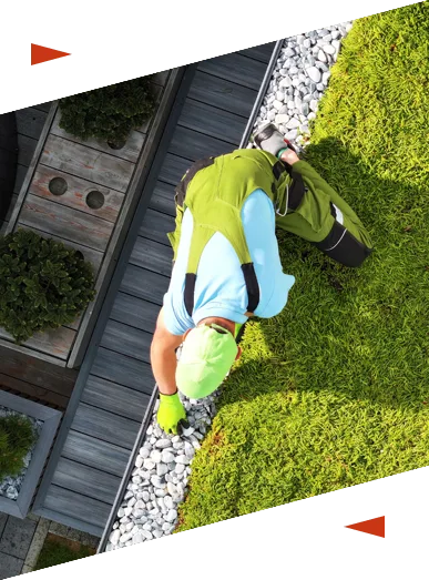 INCLINExps - sistem zelenih krovova